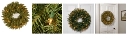 National Tree Company 24" Norwood Fir Wreath with 50 Clear Lights